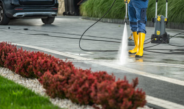 Best Roof Power Washing Services  in Shell Ridge, CA
